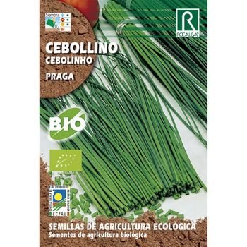 Semillas Ecológicas De Cebollino Praga