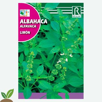 Albahaca Limon - Sobre De Semillas 2g