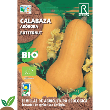 Sobre De Semillas Calabaza Butternut Eco