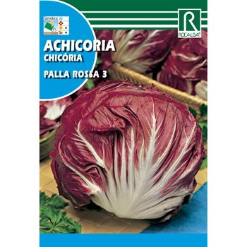 Semillas De Achicoria Palla Rossa 3