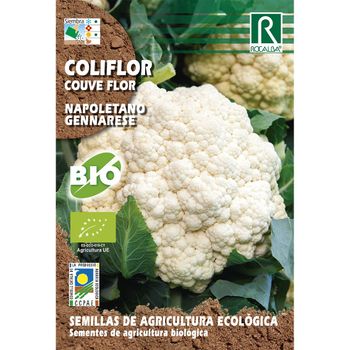 Semillas Ecológicas De Coliflor Napoletano Gennarese