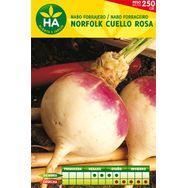 Semillas Nabo Cuello Rosa Caja 250gr