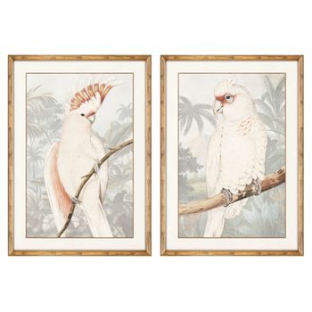 Cuadro Dkd Home Decor Loro (50 X 2 X 70 Cm) (2 Pcs)