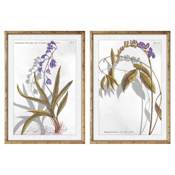 Cuadro Dkd Home Decor Plantas Botánicas (50 X 2 X 70 Cm) (2 Pcs)