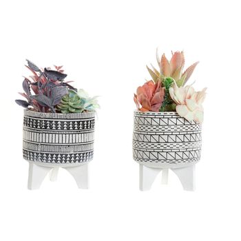 Planta Decorativa Dkd Home Decor Cactus Resina Polietileno (11 X 11 X 21 Cm) (2 Pcs)