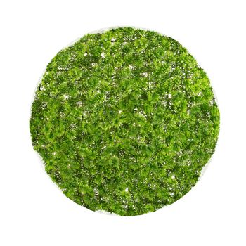 Bola Boj Artificial Verde De Plástico Para Exterior De Ø 30cm