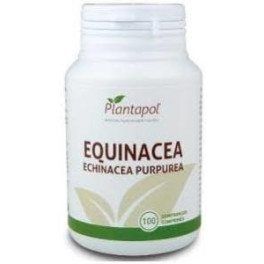 Planta Pol Equinacea 100 Comprimidos 400 Mg