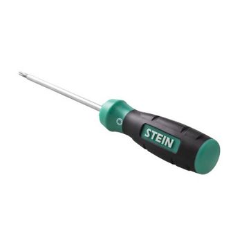 Destornillador P/diam. Torx T-15x100mm.