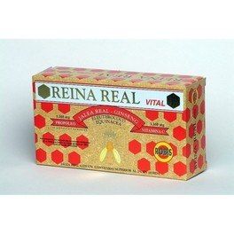 Robis Reina Real Vital 30 Amp