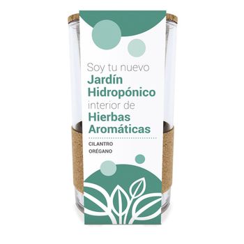 Cultivo Hidropónico Cilantro - Orégano