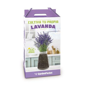 Kit Cultivo Interior De Lavanda