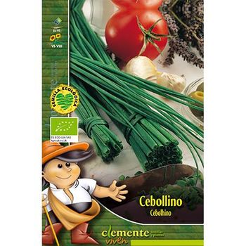 Semillas Ecológicas De Cebollino