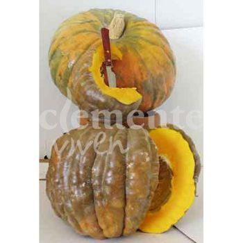 Semillas Ecológicas De Calabaza Buen Gusto Dulce Horno