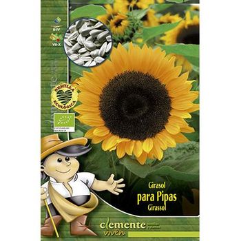 Semillas Ecológicas De Girasol Pipas