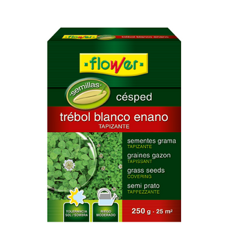 Flower Semillas De Césped Trébol Enano Blanco, 250 Gr