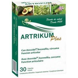 Bioserum Artrikum Plus 30 Cap