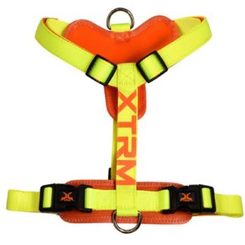 Arnes X-trm Cronos Neon Flash Limon 25mm X 60-100cm