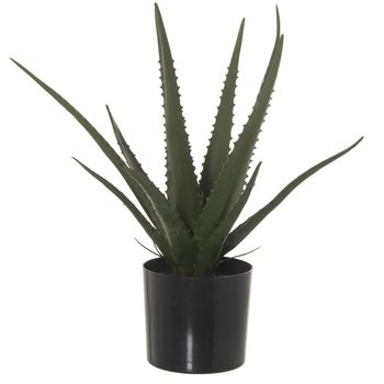 Planta Decorativa Alexandra House Living Plástico Aloe Vera 11 X 11 X 39 Cm