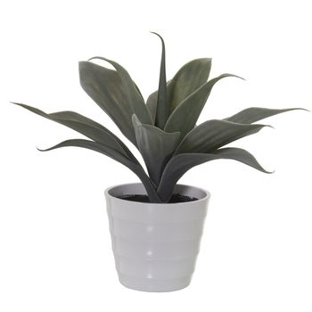 Planta Decorativa Alexandra House Living Plástico Aloe Vera 16 X 16 X 30 Cm