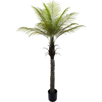 Planta Decorativa Alexandra House Living Plástico Palmera 180 Cm