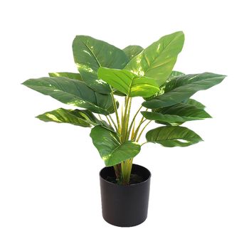 Planta Decorativa Alexandra House Living Plástico 50 Cm