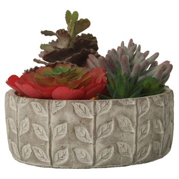 Planta Decorativa Alexandra House Living Plástico Suculenta 20 X 21 X 18 Cm