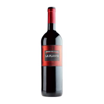 Arzuaga Vino Tinto La Planta Ribera Joven Botella Magnum 1,5 L 14% Vol.