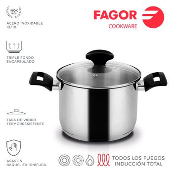 Cazuela - FAGOR Maxima, Olla Vaporera 20cm Inducción Aluminio