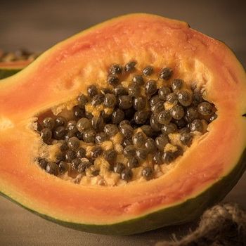 Papaya - 1ud. - Maceta De Tubo