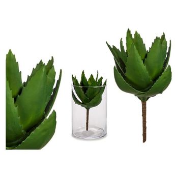 Planta Decorativa Aloe Vera (14 X 23 X 14 Cm)