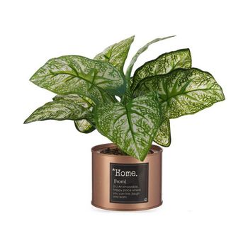 Planta Decorativa Home Cobre Lata Metal Plástico (26 X 26 X 26 Cm)