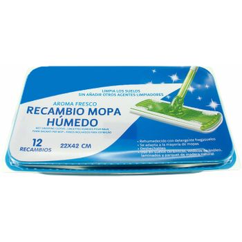 Recambio Mopa Humedo 22x42 Cm. Caja Con 12 Uds.