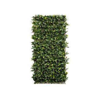 Celosia PVC Verde Extensible - Secufix – Securfix