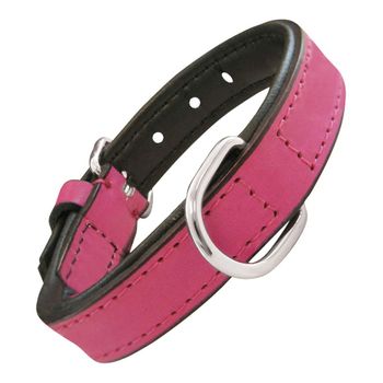 Collar Para Perro Gloria Acolchado Fucsia (50 X 2,5 Cm)