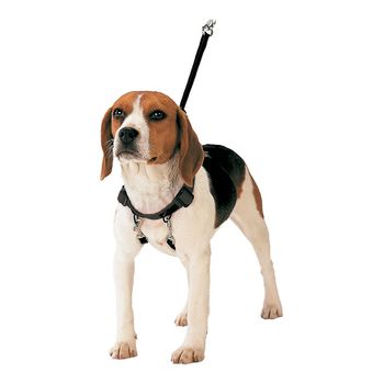 Arnés Para Perro Gloria Pets 30-42 Cm Talla M