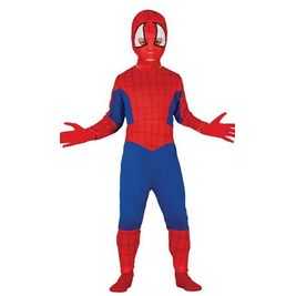 Disfraz De Spider Boy Infantil