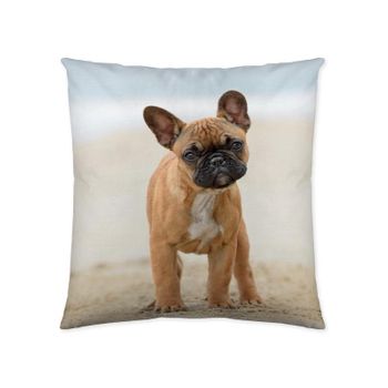 Cotton Artean - Funda De Cojin Bull Dog 50x50 Cm.