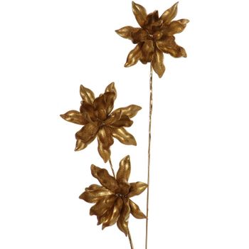 Ramo de flores secas natural/marrón 52 cm CABRA 