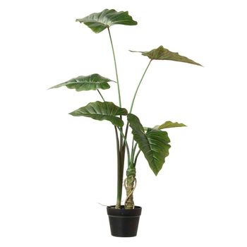 Arbol Alocasia Sarian Con Maceta 80x80x95 Cm