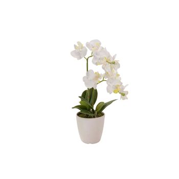 Orquidea Poliester Blanca Con Maceta 20x20x36 Cm