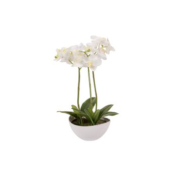 Orquidea Poliester Blanca Con Maceta 24x24x33 Cm