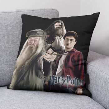 Funda De Cojín Harry Team A 50x50 Cm Harry Potter