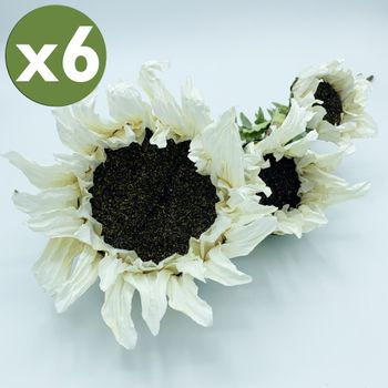 Pack De 6 Ramos De Girasol 3 Flores Wellhome 56cm Blanco