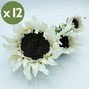 Pack De 12 Ramos De Girasol 3 Flores Wellhome 56cm Blanco