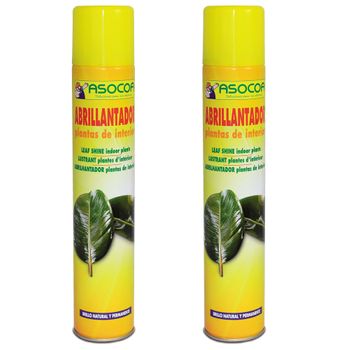 Set De 2 Abrillantadores Spray 1000 Cc   Asocoa