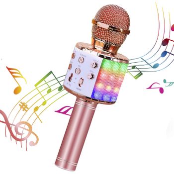 Micrófono Karaoke Winfun con Ofertas en Carrefour