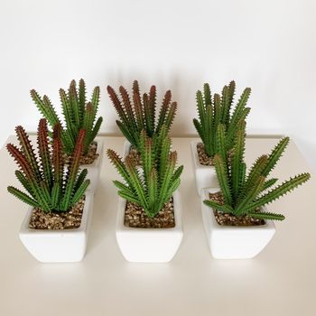 Pack 6 Cactus Cereus Surtidos Artificiales Con Maceta Wellhome