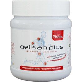 Artesania Gelisan Plus + Ac. Hialuronico 300 Grs