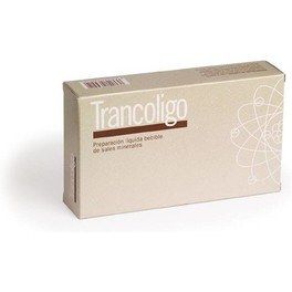 Artesania Trancoligo 20 Amp