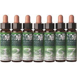 Artesania Remedio 2 Tensiones Person 10 Ml